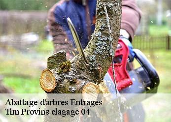 Abattage d'arbres  entrages-04000 Tim Provins elagage 04