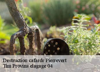 Destruction cafards  pierrevert-04860 Tim Provins elagage 04