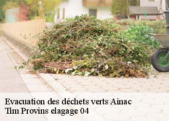 Evacuation des déchets verts  ainac-04000 Tim Provins elagage 04