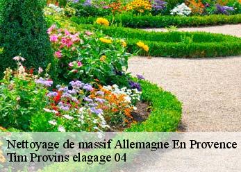 Nettoyage de massif  allemagne-en-provence-04550 Tim Provins elagage 04