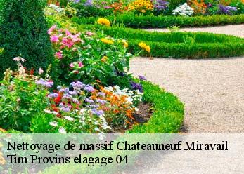 Nettoyage de massif  chateauneuf-miravail-04200 Tim Provins elagage 04