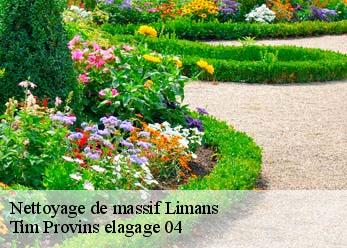 Nettoyage de massif  limans-04300 Tim Provins elagage 04