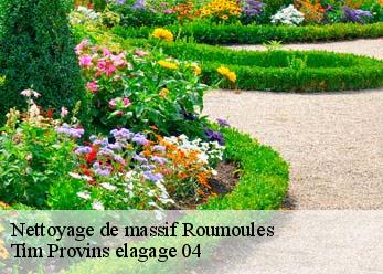 Nettoyage de massif  roumoules-04500 Tim Provins elagage 04