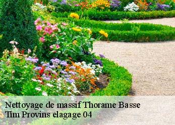 Nettoyage de massif  thorame-basse-04170 Tim Provins elagage 04