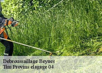 Debroussaillage  beynes-04270 Tim Provins elagage 04