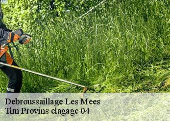 Debroussaillage  les-mees-04190 Tim Provins elagage 04